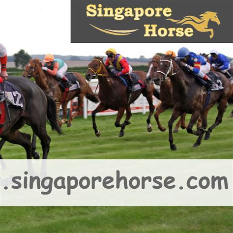 Raceway Park hosts a harness racing summer meet and features an enclosed grandstand. . Singapore horse racing result